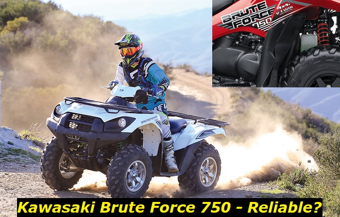 Kawasaki Brute Force 750